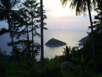 Paradise plot, Koh Tao Koh Tao