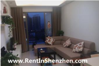 2011New Building/Near Shenzhen U Shenzhen