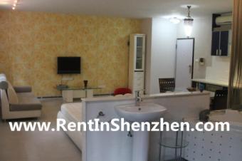 Shenzhen apartment,Luohu CBD,MIX Shenzhen