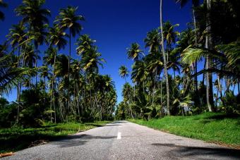 Beach Front Mayaro. Sea View! Rio Claro