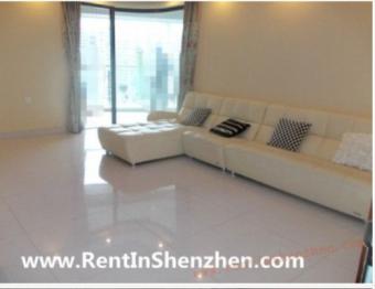Luxury Apartment rent 120sqm/3BR Shenzhen