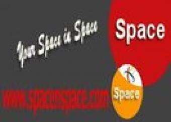 75 acres young coconut land - k Colombo