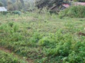 plot for sale 1/4acre Kiambu