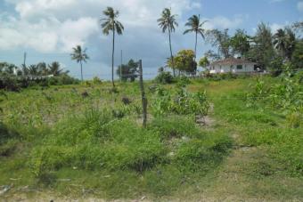 LAND FOR SALE. Kikambala