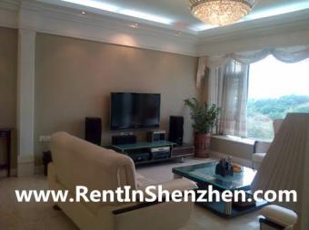 NanShan Apartment Rent/beautiful Shenzhen