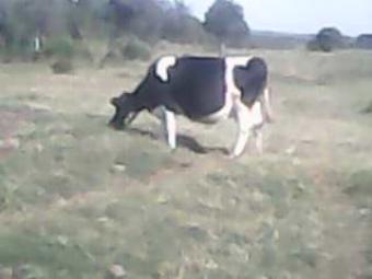 `NGONG`10 ACRES 4 SALE!! Naiobi