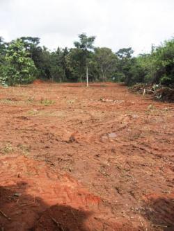 plot of land for sale in bibila Bibila