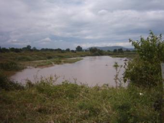 Land westside Ping river Chiang Mai
