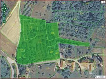 Picturesque land & building plot Martinja Vas Pri Mokronogu