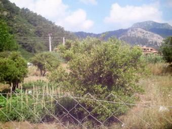 Land in Nature Beldibi Marmaris