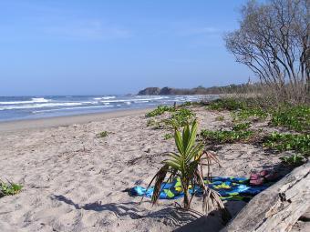 Surfer`s Paradise Nosara