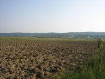 ForSale, 250ha agricultural land Sibiu