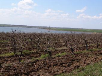 LAND FOAR SALE Constanta