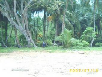ON THE BEACH-BOCAS DEL TORO Bocas Del Toro