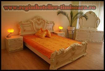 Selling 2 big viilas Timisoara Timisoara
