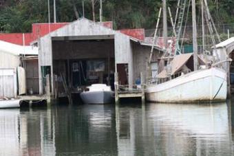 Boat Shed & Business Whangarei
