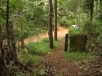 Serene property for sale Thiruvananthapuram