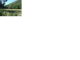 Very nice building land in Czech Hradec Nad Moravic�