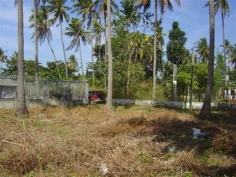 Beachside living Taal