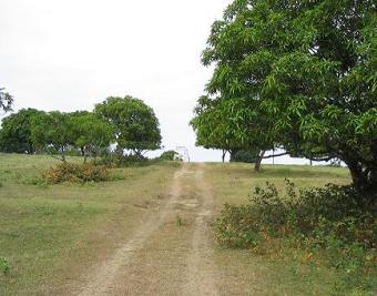 Batangas City Raw Land for sale! Batangas
