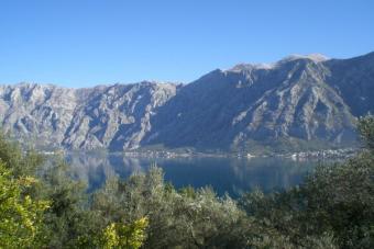 Exellent Plot, Bay from Kotor Kotor