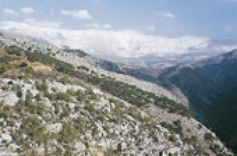 land for sale bahamdoun al-daiah Bahamdoun