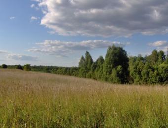 82 Acres site Preilu Aprinkis Aglonas Stacija, Preili