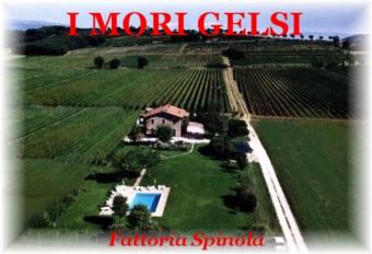 I MORI GELSI holiday rental Perugia