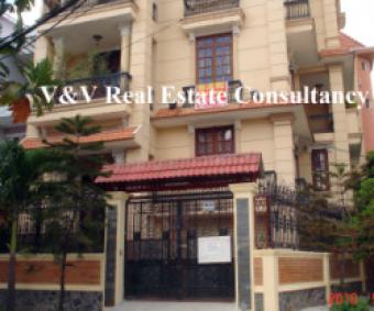 Nice Villa for rent on D3 st - B Hcmc