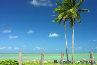apartments the side sea Pernambuco