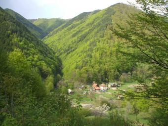 Land for sale in Transylvania Hunedoara
