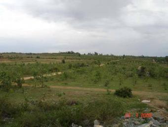 Concorde Mist valley pre launch Bangalore