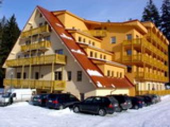MOUNTAIN APARTMENT IN SKI REGION Donovaly