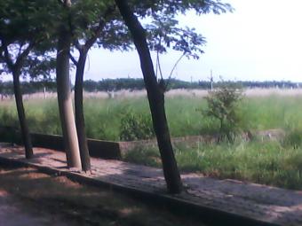 FEROZ LAND MANEGE MEDIA Dhaka