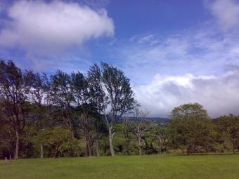 Great price, beautiful land San Isidro