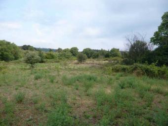 Terrain a Vendre Ile Dame Rivi�re Du Rempart