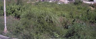 Lot For Sale Cebu City