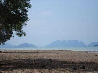 80m Beach front Land Ko Lanta Yai