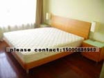 3bedroom 11000RMB apartment Shanghai