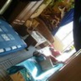 budapest apartment accommodation Budapest