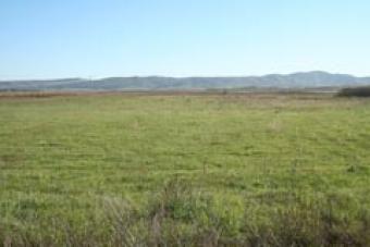 Land for sale - 22 ha Campia Turzii (cluj) Transylvania