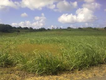 Land for sale in Mauritius Grand Baie