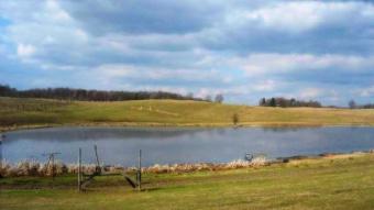Farm in Poland for sale Jelenino