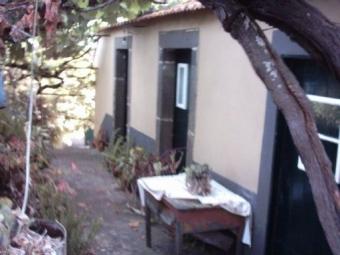 Loreto Rustic Madeira