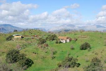 20043-spain-malaga-finca Cartama