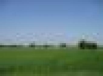 Plots of 5 to 10 Guntha for sale Pune