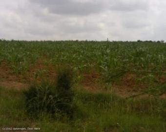 1/2 acre plot, konza Ref #:KON04 Konza
