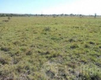 Isinya 30 Acres Land Ref #:ISI03 Isinya