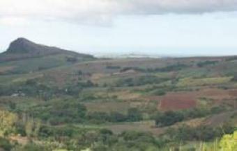 GOOD AND FERTILE LAND FOR SALE Buea