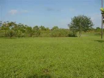 Land at WestPort, Klang(1.4acre) Westport, Klang